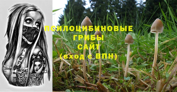 амф Алзамай