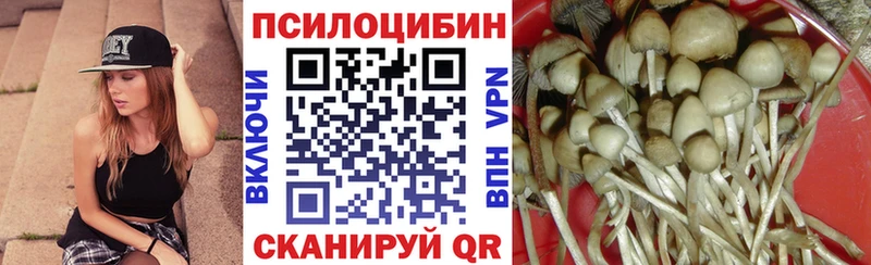 нарко площадка наркотические препараты  Боготол  Псилоцибиновые грибы Psilocybine cubensis 